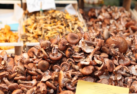 Boxes of mushrooms on sale at the Rialto Market in Venice Italy.の写真素材