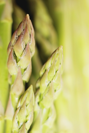 Extreme close-up of spears of asparagus, shallow DOFの写真素材