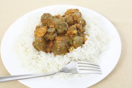 A plate of mushroom curry with plain white rice and a forkの写真素材