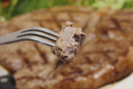 A piece of steak on a fork with a low-carb steak and salad meal in the backgroundの写真素材