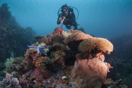 diver reviewing a healthy reefの写真素材