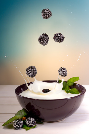 yoghurt with blackberriesの写真素材