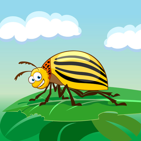 Cartoon colorado potato beetle eating leafのイラスト素材