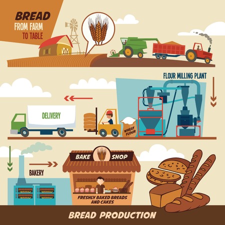 Stages of production of bread. From wheat harvest to freshly baked bread, from farm to tableのイラスト素材