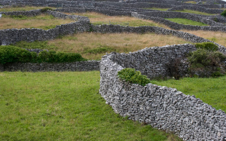 Hand stacked stone walls and green farm fields on the island of Inisheer, County Clare, Irelandの写真素材