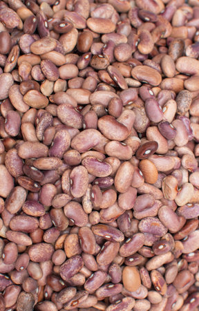 Several pink pinto beans stacked as if for texture