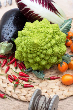 Fresh green Broccoli aubergine radish tomatoes and pepper. Verticalの写真素材