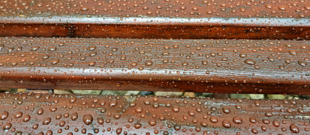 Raindrops on a wooden bench. Raindrops on a wooden bench.の写真素材