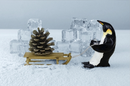 Penguin pulling sled with a giant fir cone on boardの写真素材