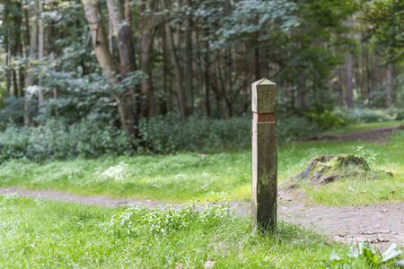 Wooden post for keeping you on track in the forestの写真素材
