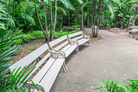 white benches in the gardenの写真素材