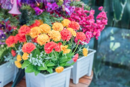 beautiful fake white and pink rose for decoration,selective focus.の写真素材