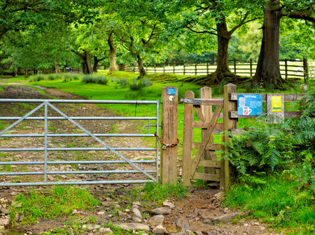Serene countryside path through the landscape with fields, fences, gate, and trees. With a stile allowing access to the footpathの写真素材