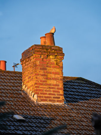 A brick chimney with a bird sitting on top. The chimney is on a roof. The bird is whiteの写真素材