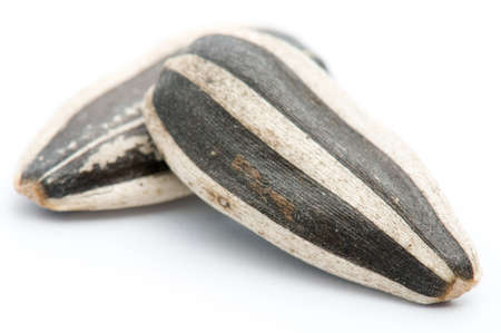 Sunflower seeds, macro over white with shallow depth of field.の写真素材