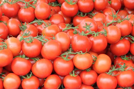 Wall of fresh tomatoes on branchの写真素材