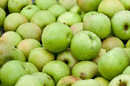 Waterdrops on fresh looking apples.の写真素材