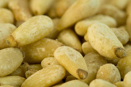 Close up shot of pine nutsの写真素材