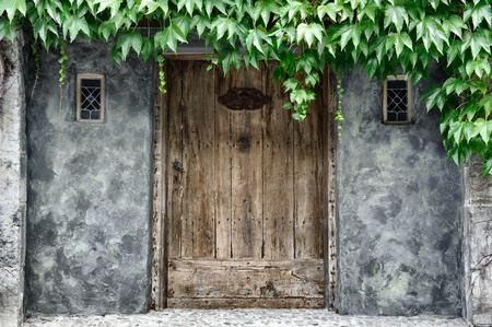 Vintage door covered by lianas