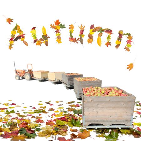 Tractor with apples in autumn backgroundの写真素材