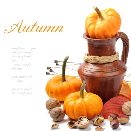 Autumn still-life with pumpkinsの写真素材