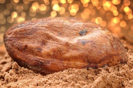 Close up of cocoa bean and powderの写真素材