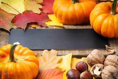Autumn frame with pumpkins, walnuts, chestnuts and leavesの写真素材