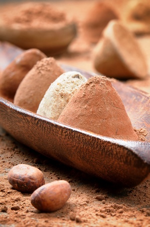 Selection of chocolate truffles on the cocoa backgroundの写真素材