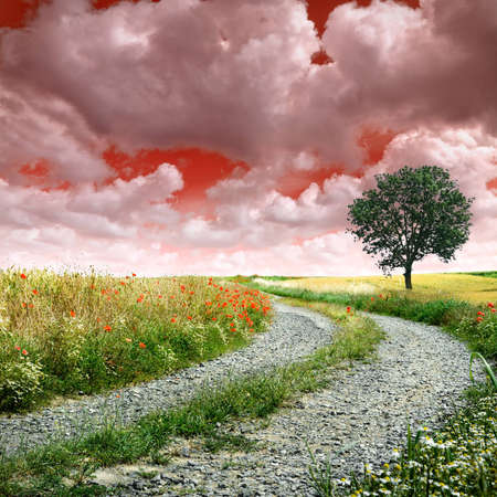 Country road making a curve with red cloudy skyの写真素材