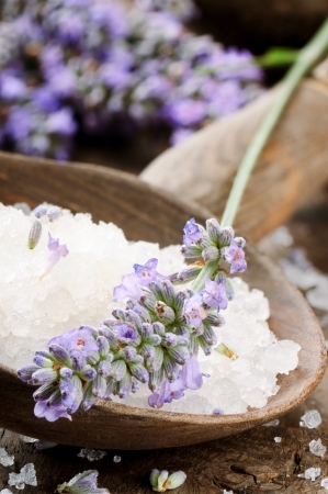 Sea salt and fresh lavender on wooden spoonの写真素材