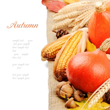 Autumn still-life with pumpkins isolated over whiteの写真素材