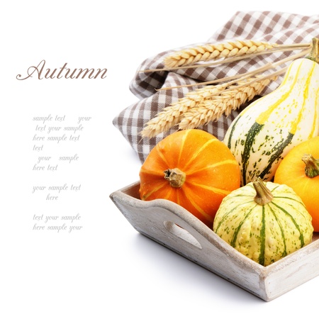 Autumn still-life with pumpkins isolated over whiteの写真素材