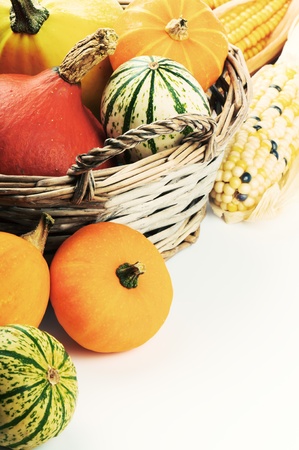Autumn setting with various pumpkins and corn over white backgroundの写真素材