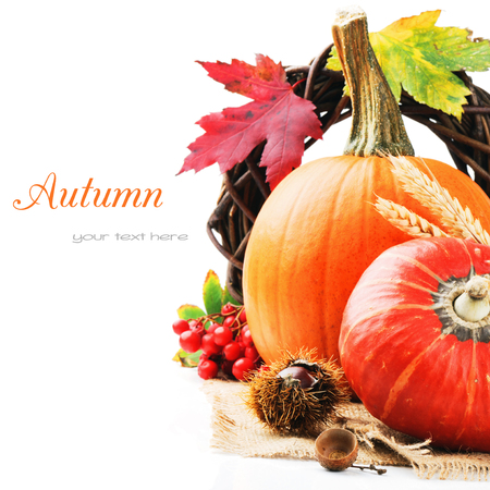 Autumn still-life with pumpkins isolated over whiteの写真素材