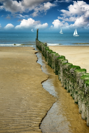 Old wooden breakwater on the North sea beachの写真素材