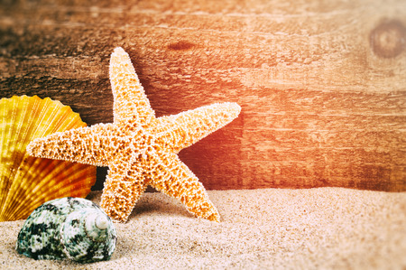 Sea star and shells on rough wood backgroundの写真素材
