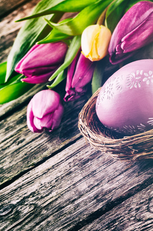 Easter setting with tulips in purple toneの写真素材