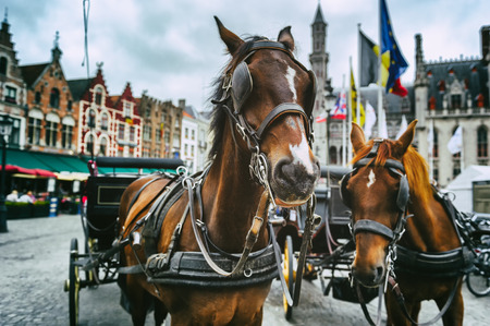 Horse-drawn carriages at the main square of Bruges, Belgiumの写真素材