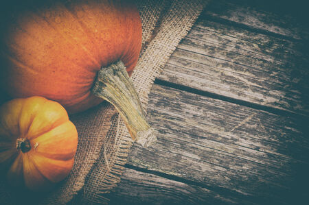 Autumn still-life with pumpkins on wooden backgroundの写真素材