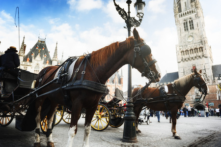Horse-drawn carriages on the Old Market square (Grote markt). Bruges, Belgiumの写真素材