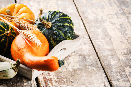 Autumn still-life with pumpkins on old wooden backgroundの写真素材