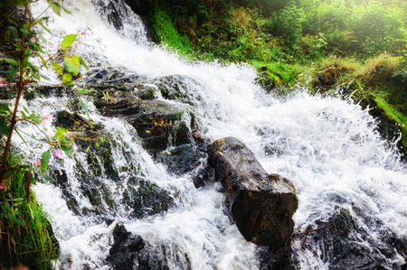 Beautiful waterfall in autumn forestの写真素材