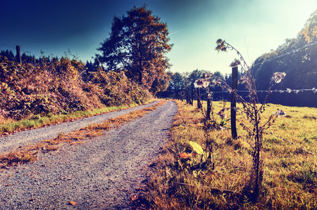Beautiful autumn landscape with country road at sunny dayの写真素材