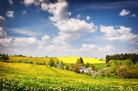 Beautiful countryside landscape at sunny summer dayの写真素材