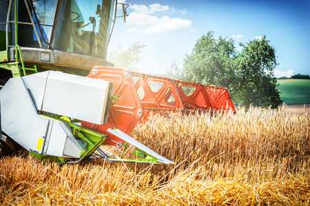Combine harvester working at wheat field. Closeup shotの写真素材
