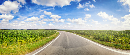 Panoramic landscape with country road and corn fields. Nature backgroundの写真素材