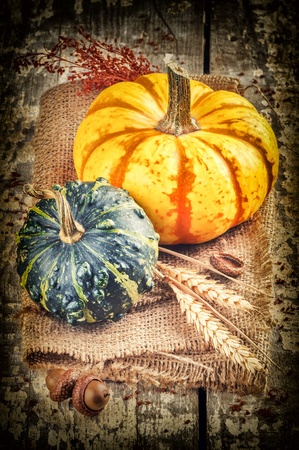 Autumn still-life with pumpkins in rustic settingの写真素材