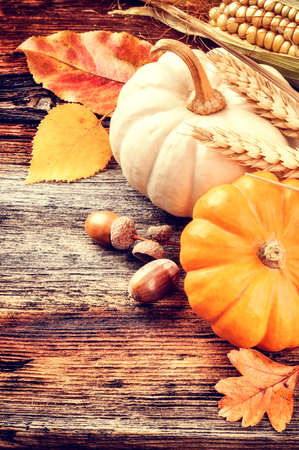 Autumn still-life with pumpkins and acorns on wooden backgroundの写真素材