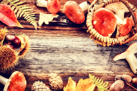 Autumn frame with forest mushrooms on old wooden backgroundの写真素材