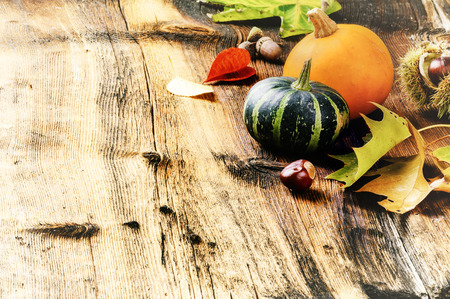 Autumn still-life with pumpkins and oak leaves. Copy spaceの写真素材
